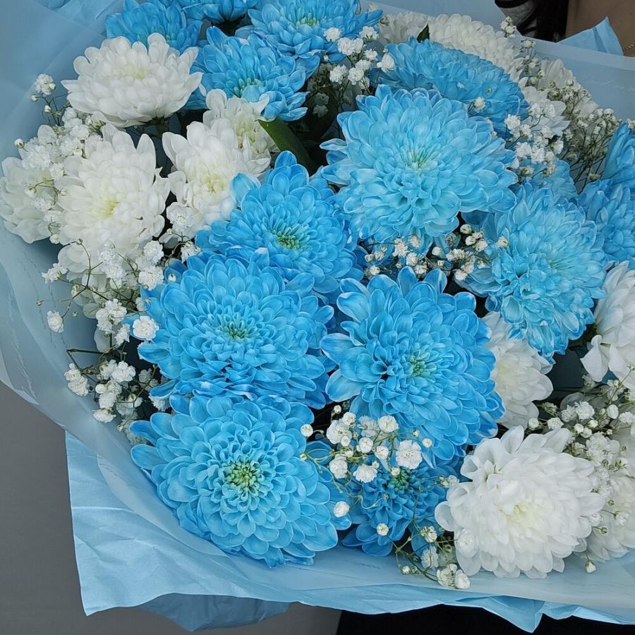 "Морская волна" моно букет из кустовой хризантемы 