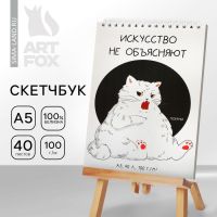 Скетчбук А5, 40 л 100 г/м? «Кот»