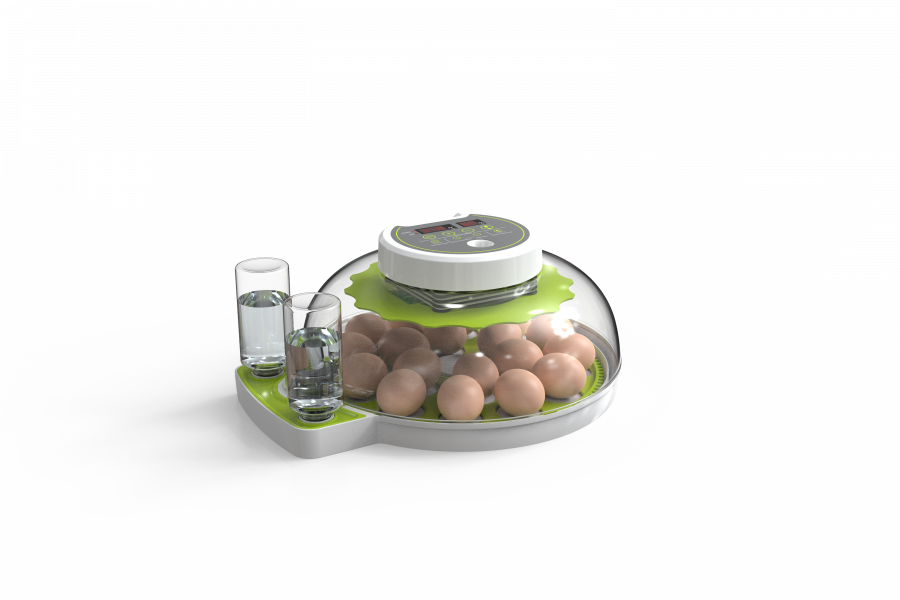 Инкубатор WQGY18 на 18 куриных яиц с автоматическим переворотом