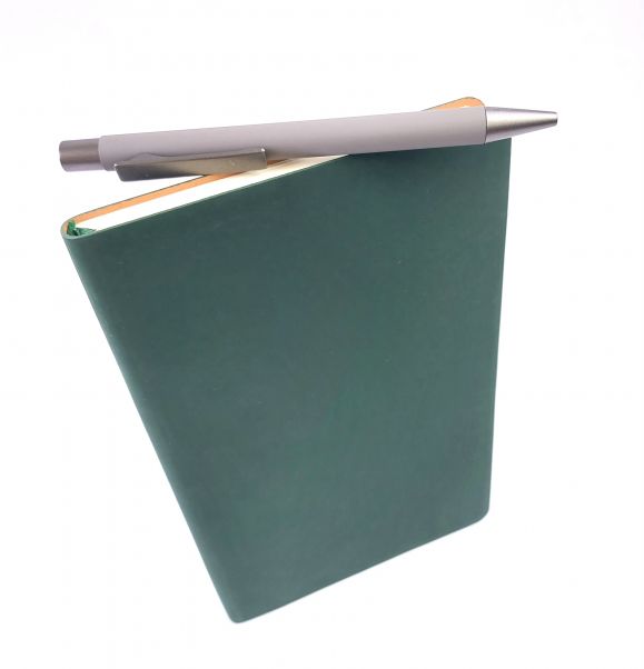 Набор Рико зеленый ежедневник и серая ручка