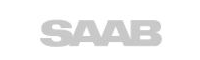 Saab (краска в баллонах)