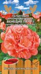 Pelargoniya-krupnocvetkovaya-VeNeCIya-PICh-F1-5-sht-Premium-Sids