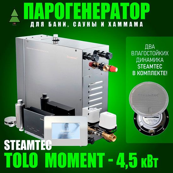 Парогенератор для хамама Steamtec Platinum TOLO MOMENT 45 - 4,5 кВт