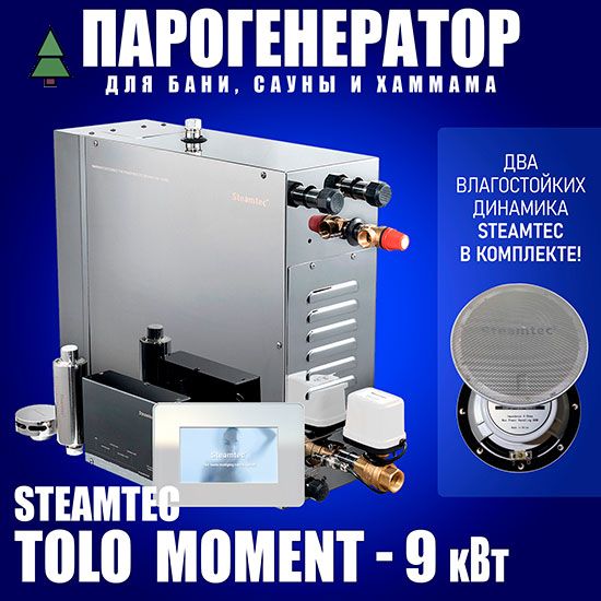 Парогенератор для хамама Steamtec Platinum TOLO MOMENT 90 - 9 кВт